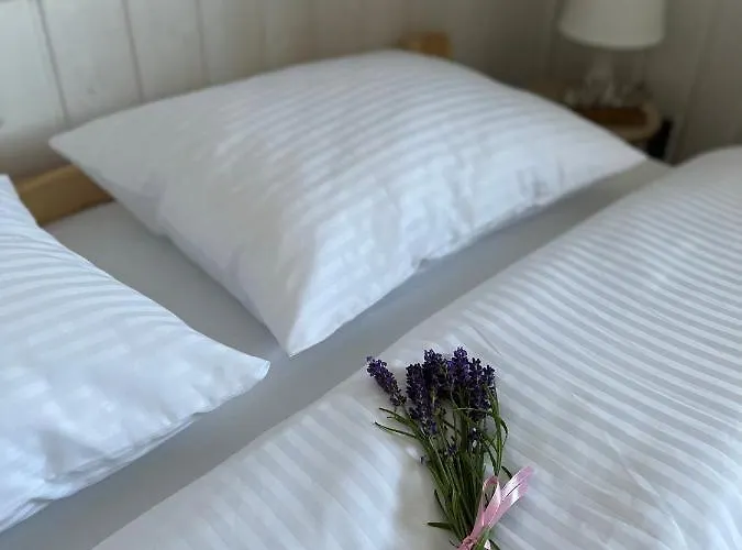 Domkoland Дом отдыха *